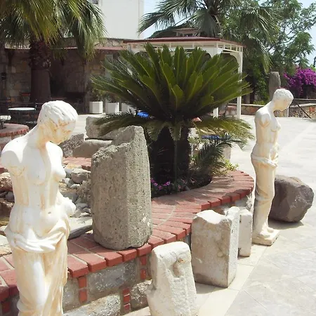 La Rosa Bodrum