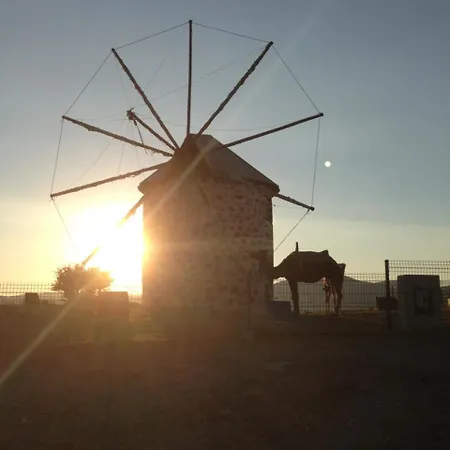 La Rosa 博德鲁姆