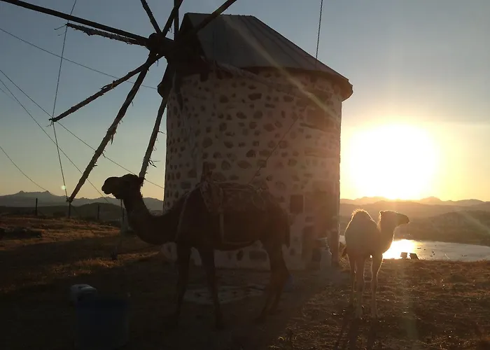 Hotel La Rosa Bodrum