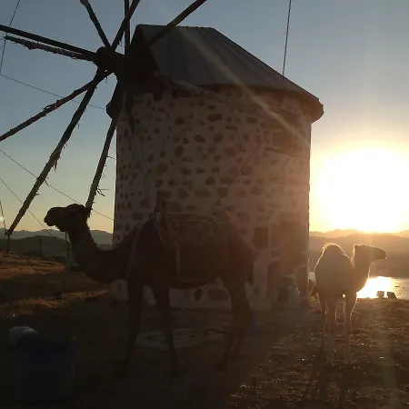 호텔 La Rosa Bodrum